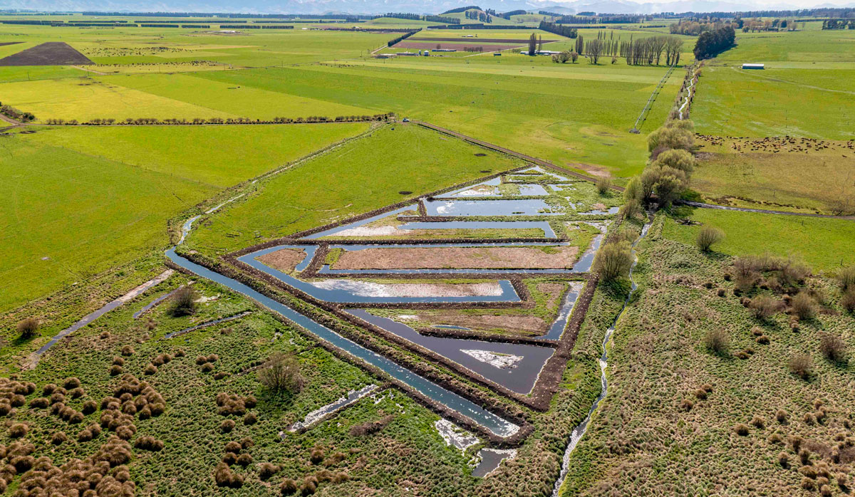 Amuri Irrigation Delaney Wetland Pilot FBTW