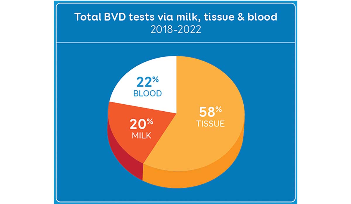 BVD Graph FBTW