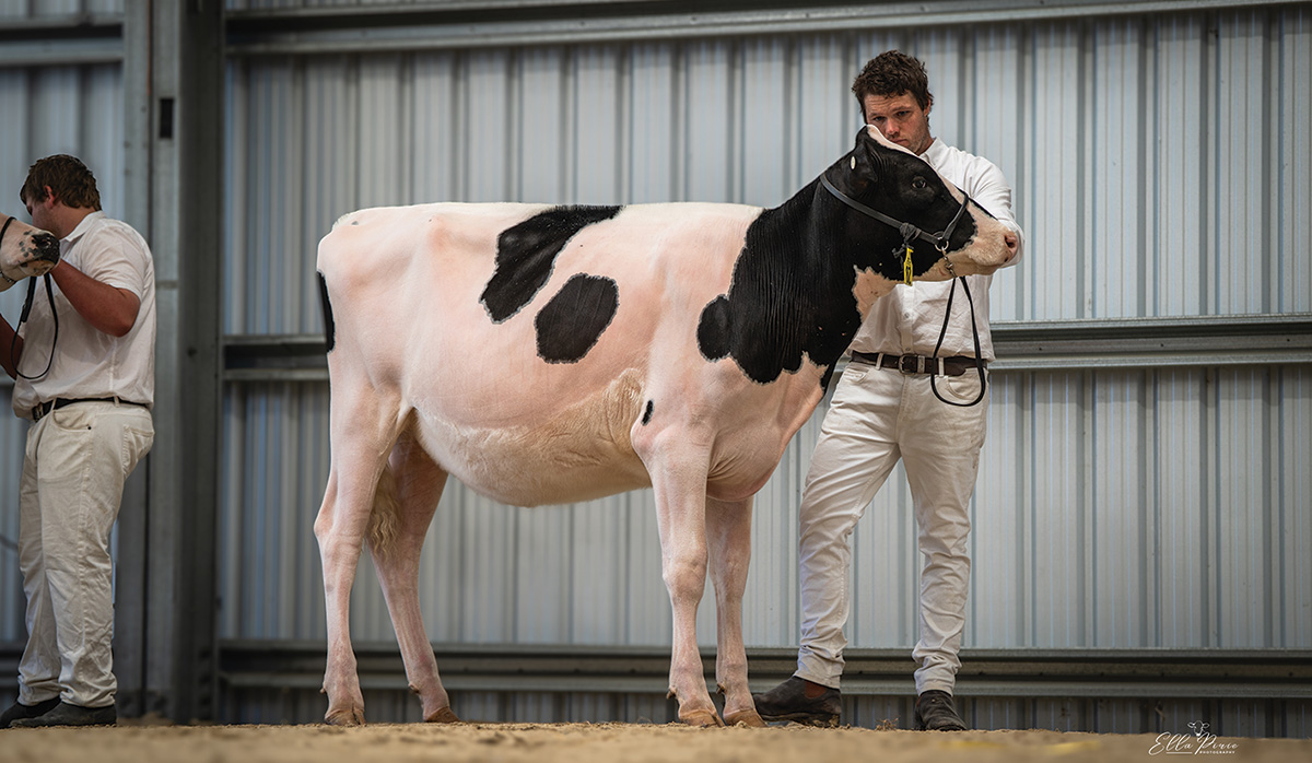 Charbelle Hero Peejay FBTW