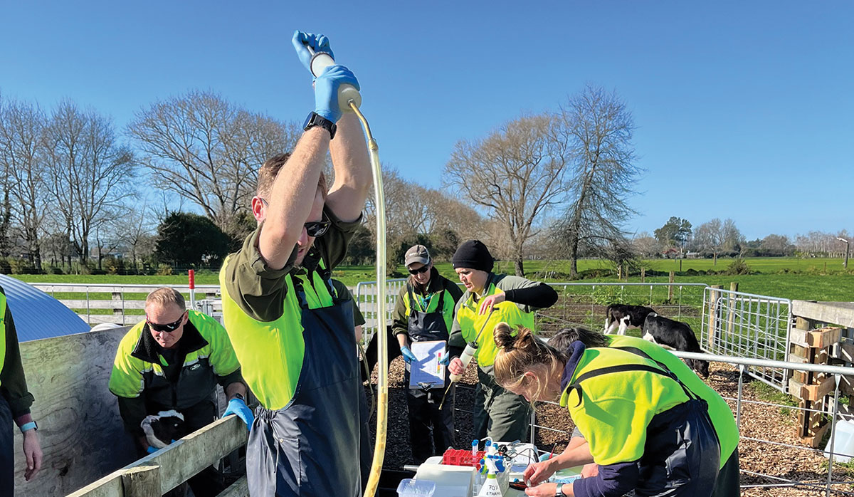 DairyNZ community work FBTW