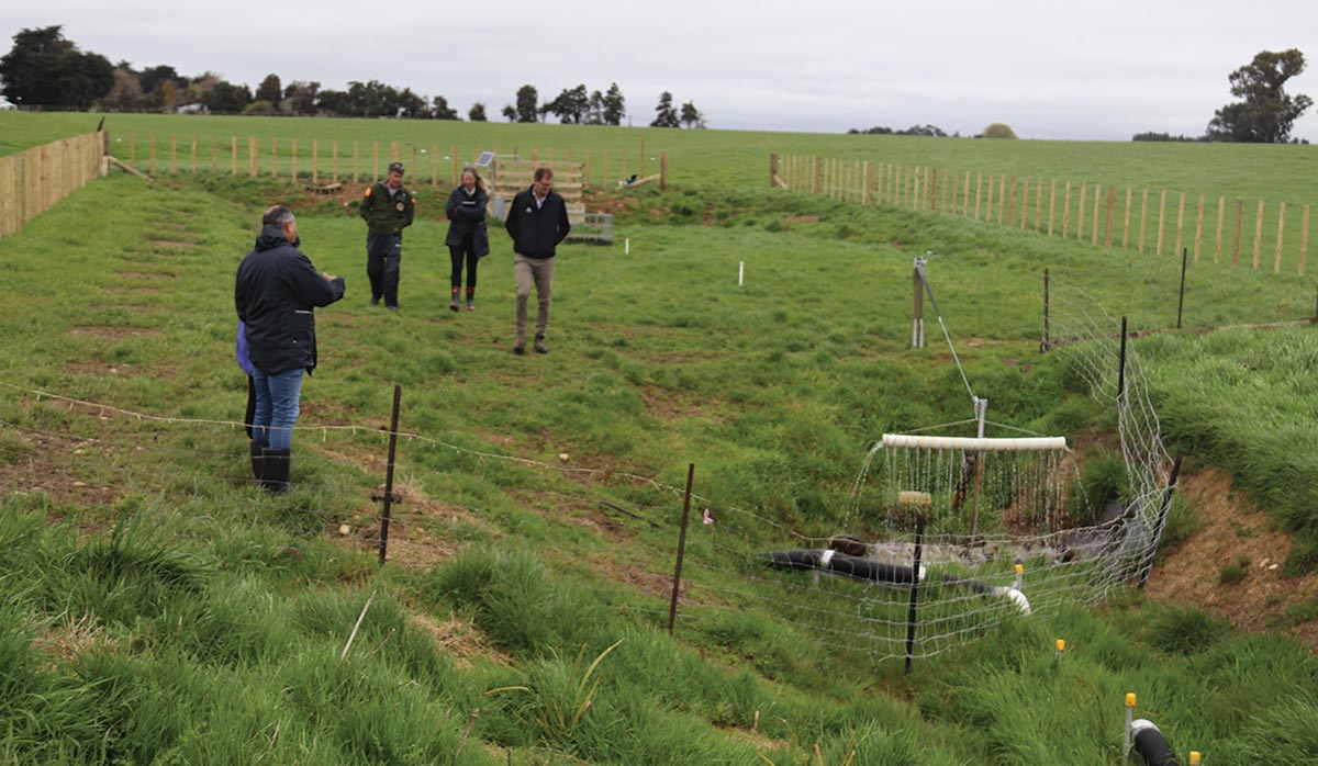 Dr Margaret and Richard Brown Farm FBTW