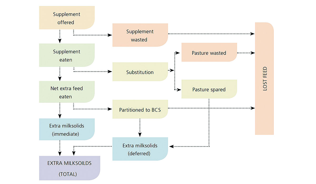 Graph Maize Management FBTW