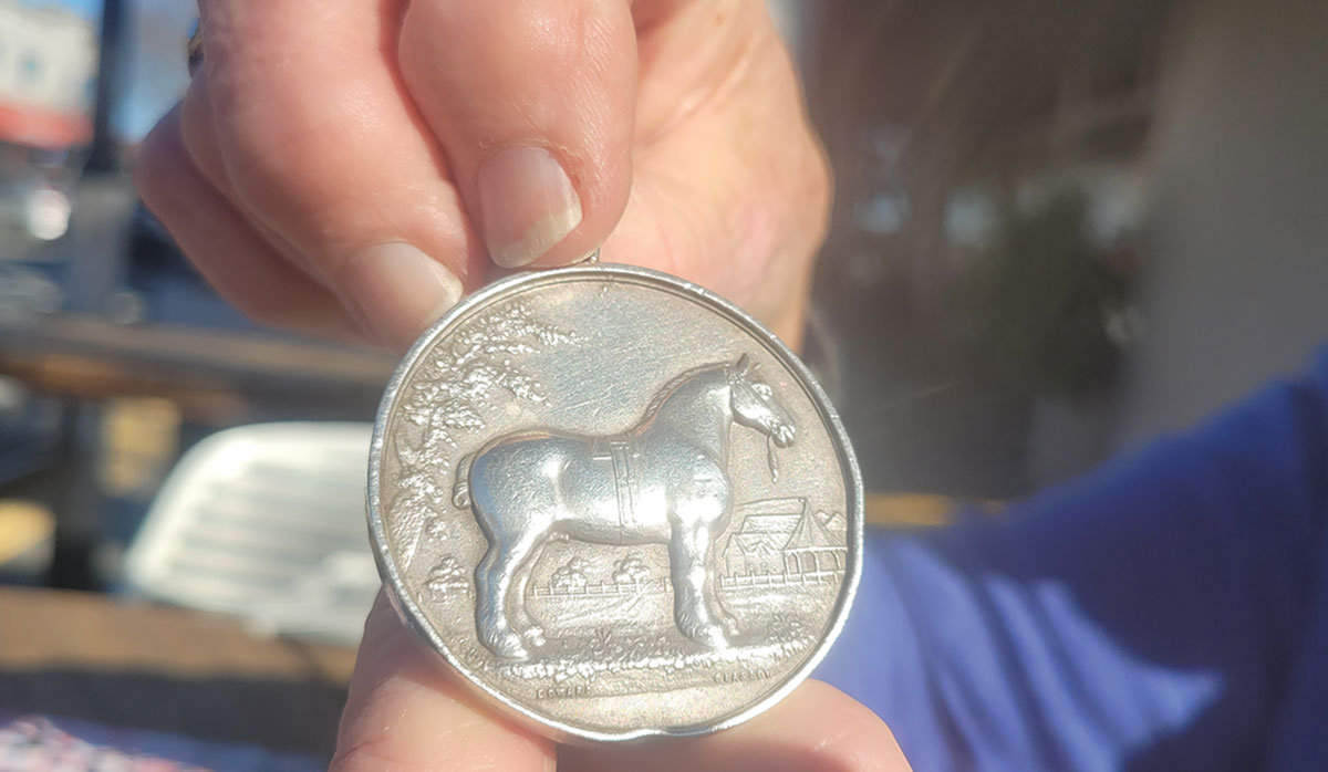 Jim Petrie Amberley A P Show Medal FBTW