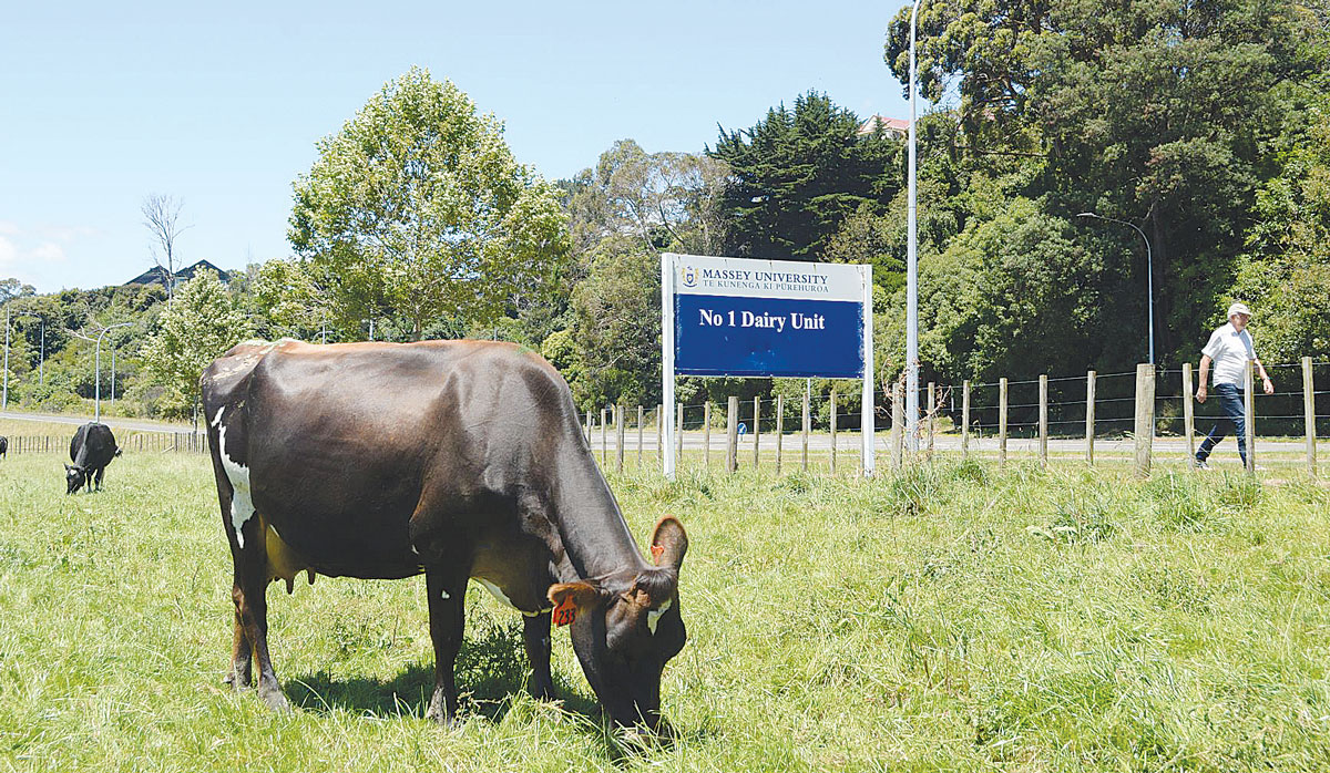 Massey University Dairy Unit FBTW