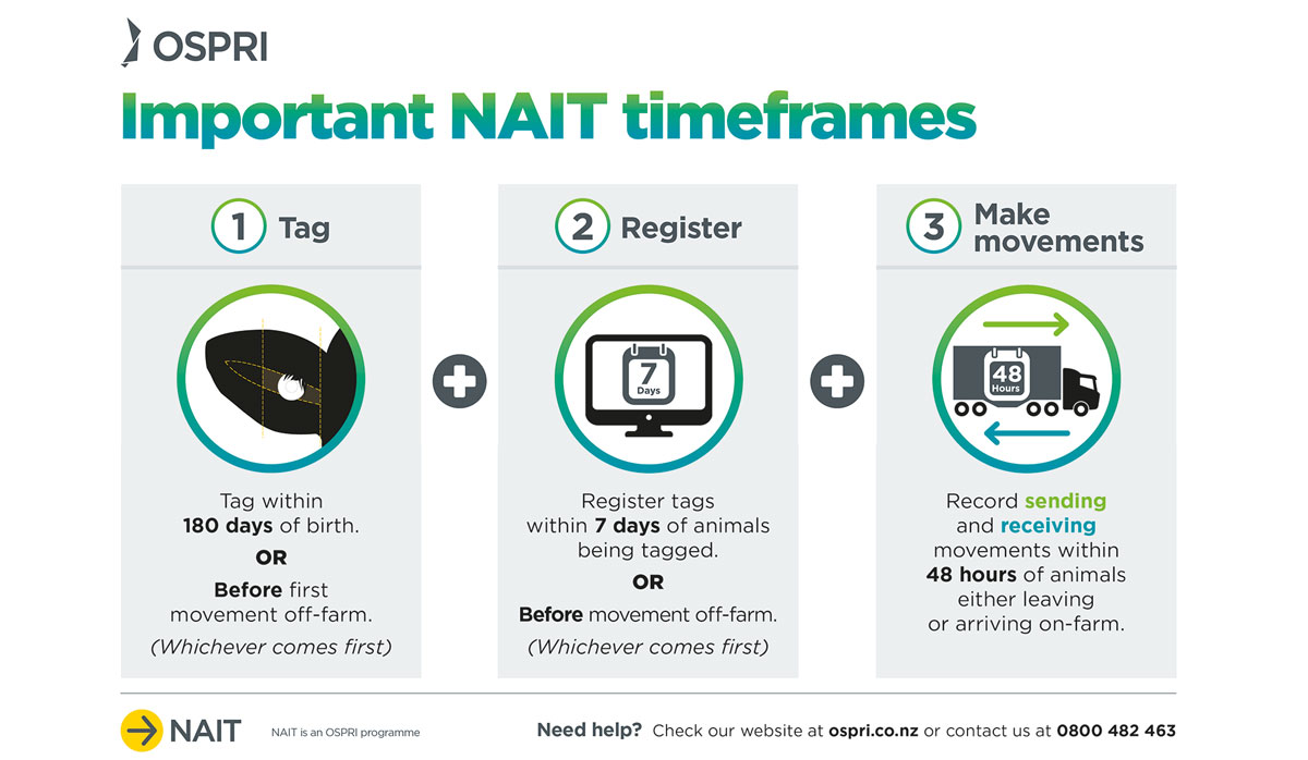 NAIT Timeframes FBTW