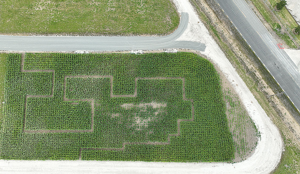 Northland Field Days Maze 2 FBTW