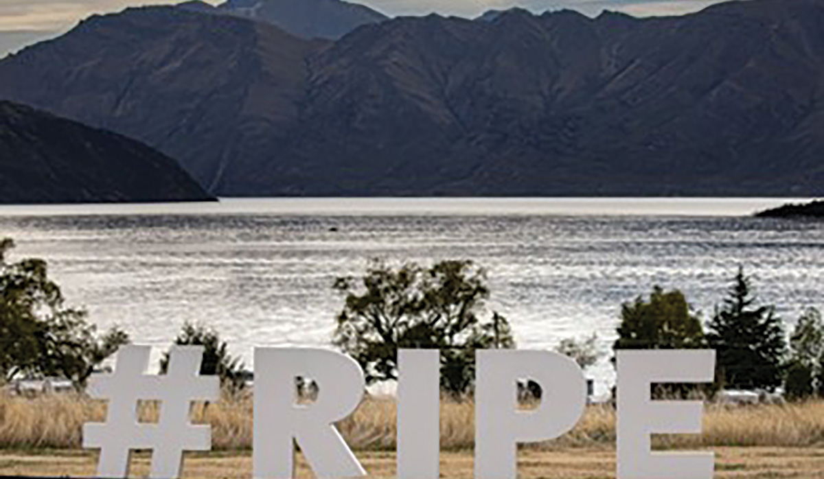 Ripe Wanaka FBTW
