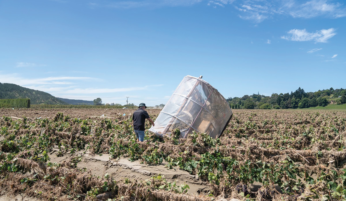 Simon GIlbertson in Esk Vineyard with neighbours water tanks FBTW