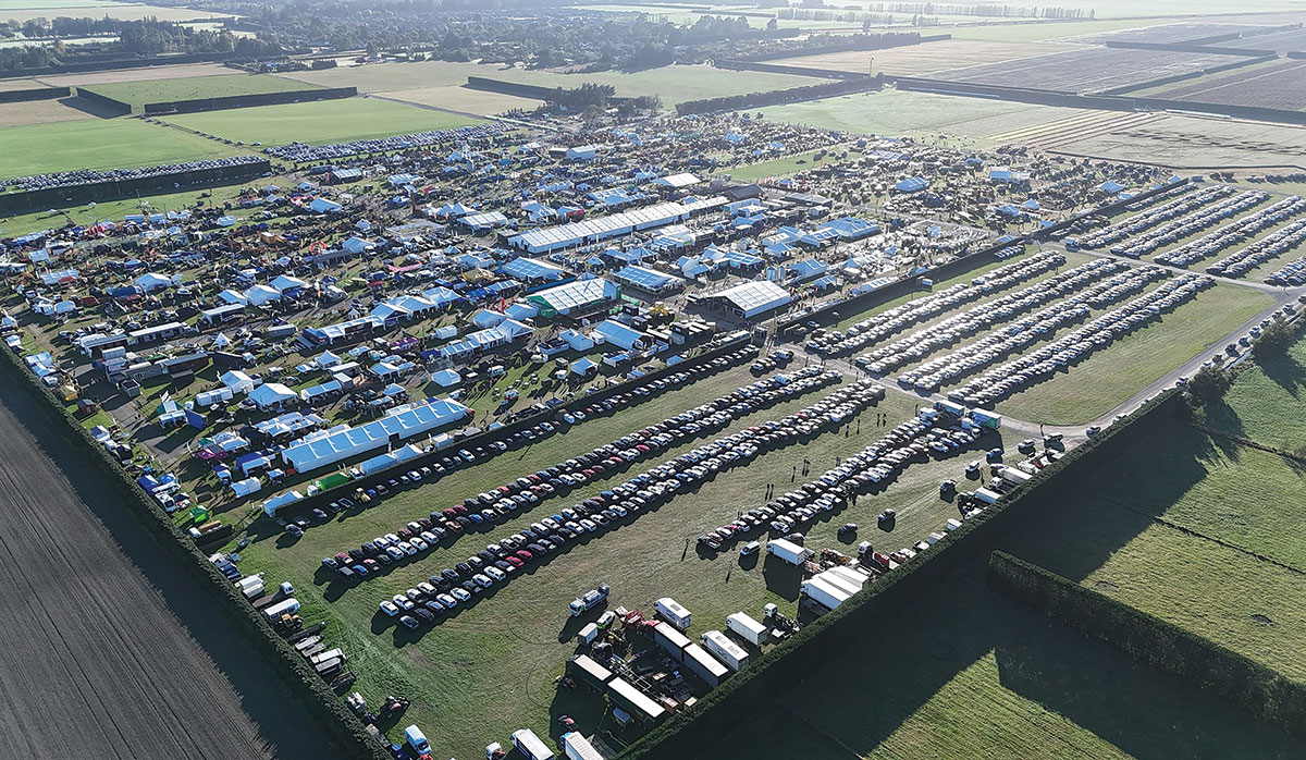 Southern Field Days 3 FBTW