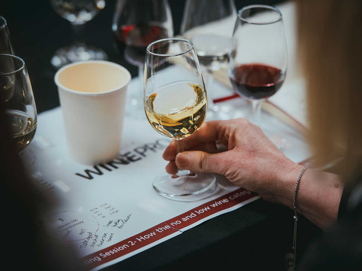 WinePro 4 WEB