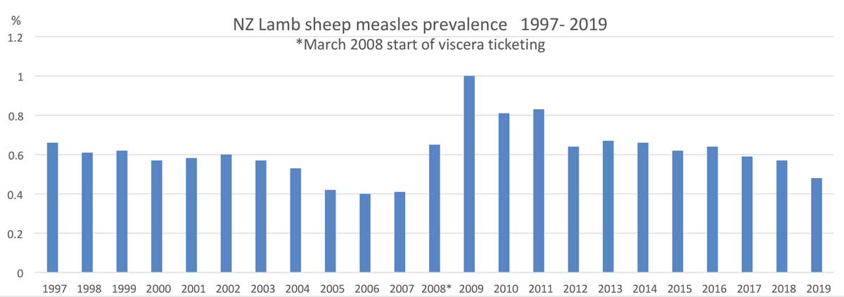 sheep measles