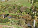 Good Farming Practices Proven to Reduce Nutrient Losses and Improve Water Quality