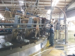 Lower order sharemilkers joining the industry over the last 12 months would be struggling to survive, says consultant James Allen.