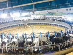 There is high demand for reliable, high performing milking technology as China continues to ramp up its herd sizes and milk production.