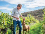 Dave Clouston amid Syrah, one of the varieties used in the Two Rivers Rosé.