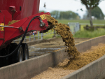 Feeding Maize Silage in Winter