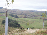 Toby Williams believes mustering with a drone would not work on his farm.