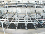 Waikato Milking Systems technology including rotary milking systems are now available to Dutch farmers.