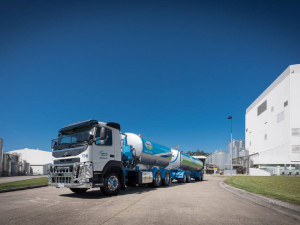 Aussie farmers get A$8.60/kgMS as opening milk price