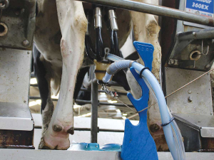 Lactalign is a simple but effective addition to the milking parlour that can help in the prevention of mastitis.