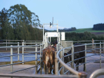 Herd-i Joins NZ Dairy Industry Awards as All-Region Sponsor