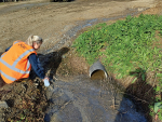 Waikato Regional Council staff test leachate discharging from stock feed bunker.