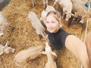 From Nelson to Dairy Research: Amy Toughey’s Journey