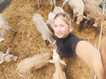 From Nelson to Dairy Research: Amy Toughey’s Journey