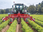 The Steketee EC Ridger offers growers of ridge crops a way of managing weeds without using chemical options.