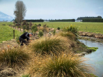 Fonterra has launched a plan to help improve NZ waterways — and every day Kiwis have been invited to view the efforts. 