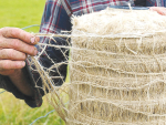 Wrapped Silage Bales: Convenient feed storage with a mounting plastic problem