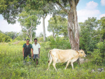 For the first time in their lives, Sri Lankans Nalayini and Chinniah were earning enough money to eat three meals a day and pay for their kids&#039; education - thanks to one cow and a lot of hard work.