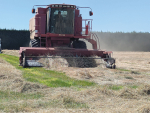 In a summer of unreliable weather, Feds Arable chair David Birkett takes advantage of a hot day to lift a paddock of ryegrass seed from a leased block near Leeston.