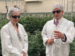 New Grower Body Signals Growth Phase for NZ Medicinal Cannabis Industry