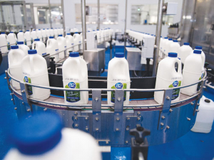 The a2 Milk Company has been given the regulatory approval to buy 75% of Mataura Valley Milk, Southland.