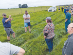 Stu Stokes (left) explains some of his deer weaning and management practises during a field day on his farm at Sheffield.