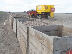 NZ potato growers want duties imposed on frozen potato imports coming in from Belgium and the Netherlands.