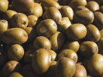 Gypsum could increase the postharvest conservation of kiwifruit and apples.