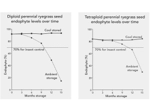 Cool, Dry Storage Key to Maintaining Endophyte Viability in Perennial Ryegrass Seed