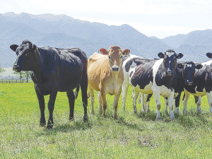 West Coast farmers have been playing catch-up going into winter, says DairyNZ’s Tony Finch.