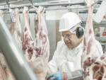 Alliance Group and Silver Fern Farm employ more than 12,000 workers between them at the peak of the meat processing season.