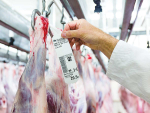Compared to last August, the volume of overall sheepmeat exports increased by 6% to 25,162 tonnes but the value decreased by 13% to $236m.