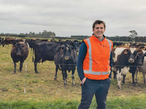New Dairy Holdings CEO Backs Self-Contained Model