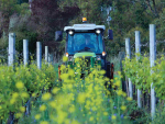 Regenerative Viticulture: Beyond sustainability in New Zealand vineyards