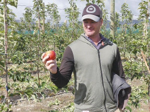 Ngai Tahu Farming commercial development manager Ben Giesen with one of the first apples from a trial orchard at Balmoral, in the Culverden basin. Photo: Rural News Group.