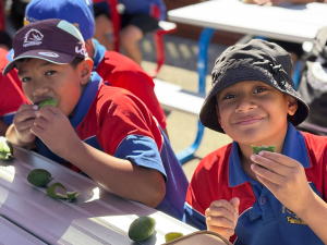 Fruit in Schools boosts health for 127,000 Kiwi students