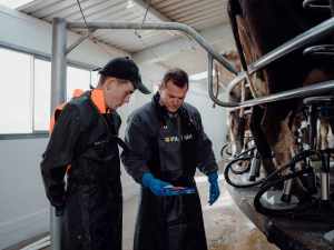 FIL has launched a new online survey to gain insights into the challenges dairy farmers face in meeting their milk quality and mastitis prevention goals.