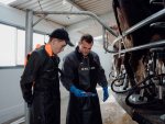 Udder health survey aims to create value