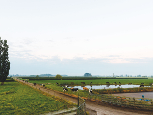 The recent storm in the Gisborne area have disproportionately impacted Māori farms.