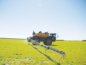 N-boost popular among China spud growers